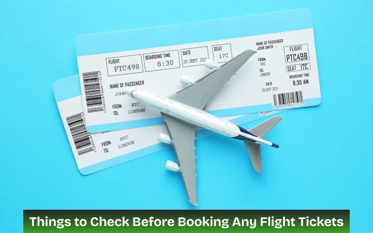Things to Check Before Booking Any Flight Tickets